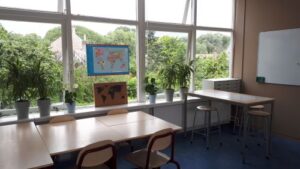 Planten in de klas